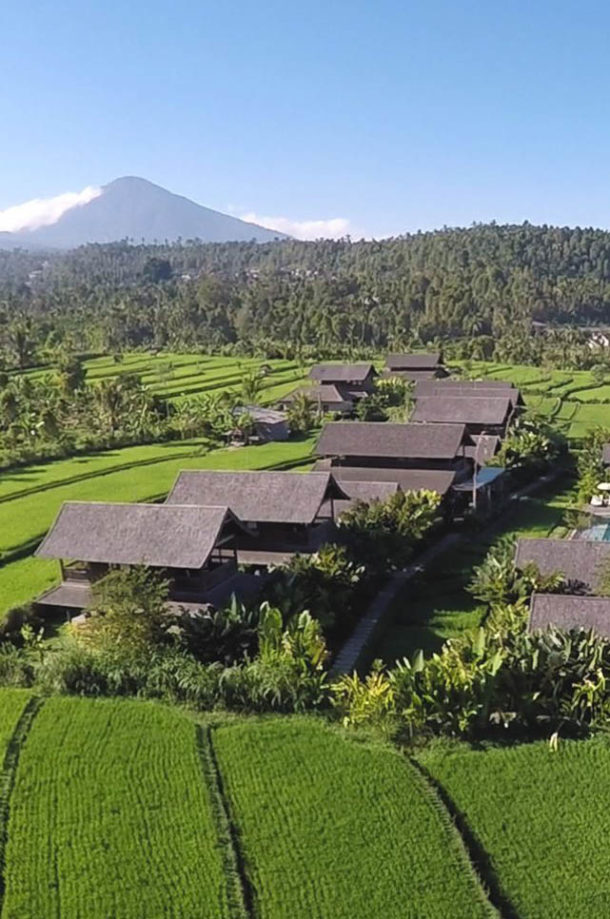 Hotel de charme entouré de rizières en Indonésie authentique