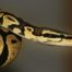 Python légendes Mentawai