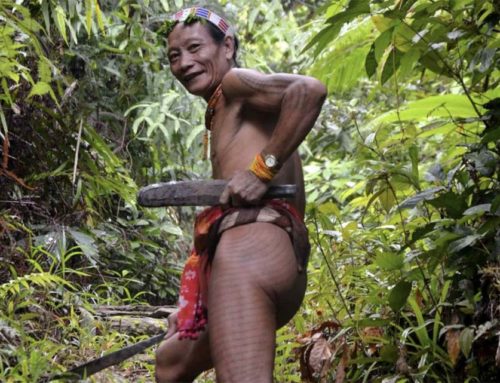 Légendes Mentawai : les poils des Mentawai