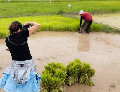 Voyage classique vs voyage photo au Cambodge